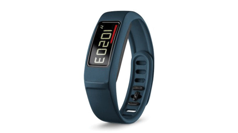 Garmin Vivofit 2 Accessories